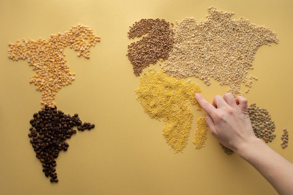 Top view of crop unrecognizable traveler making world continents with assorted grains and coffee beans on yellow background in room
